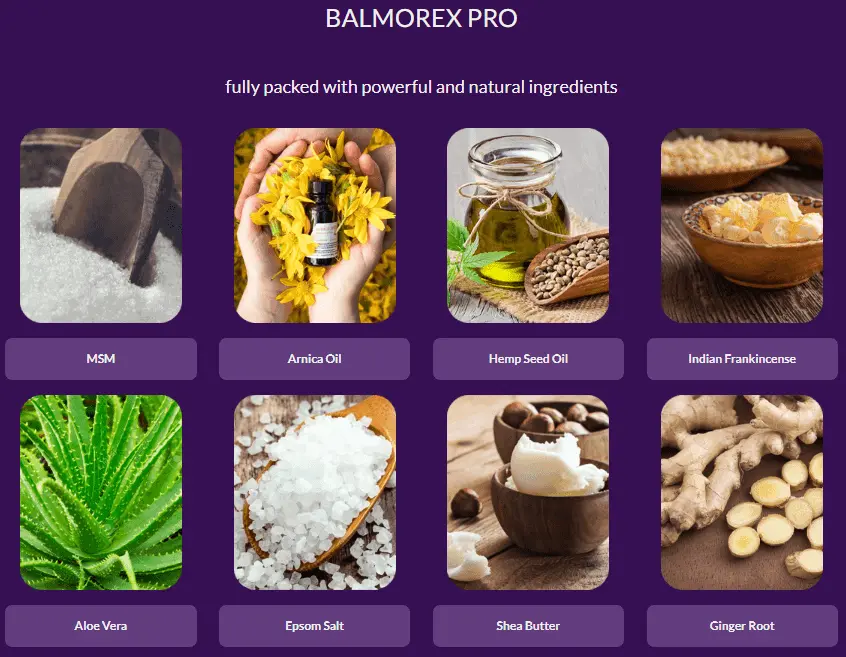 balmorex pro ingredients